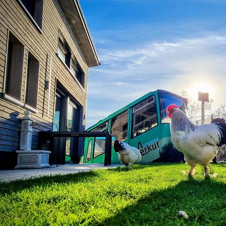 Exklusives Holzhaus Mit Bergbahn - Baden-Baden Im Schwarzwald Villa Eksteriør billede